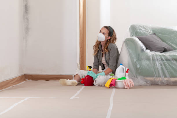 Reliable Bathroom Mold Removal contractor in Blue Ridge Summit, PA by WQB Mold Removal
